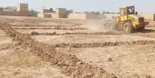 نفس تازه برای زمین‌های کشاورزی تاکستان؛ ۶۰ هزار مترمربع به چرخه تولید بازگشت
