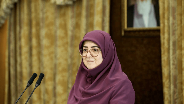مهاجرانی: دولت با درایت و جدیت کشور را از این مرحله عبور می‌دهد