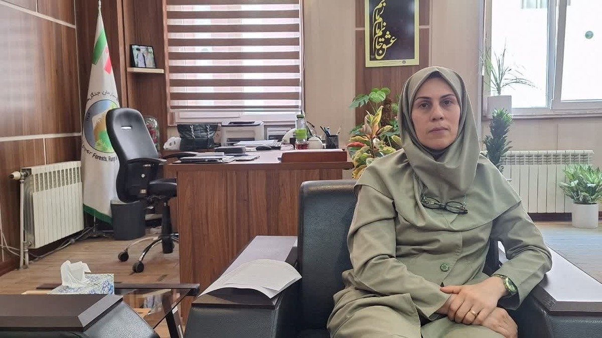 هشدار مدیرکل منابع طبیعی قزوین نسبت به وقوع حریق
