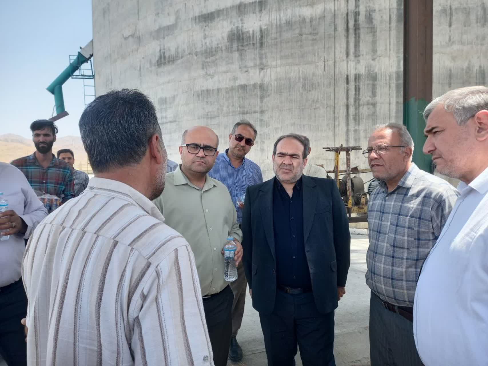 خرید تضمینی گندم قزوین از ۲۰۰ هزار تن عبور کرد؛ بررسی ظرفیت سیلوهای استان