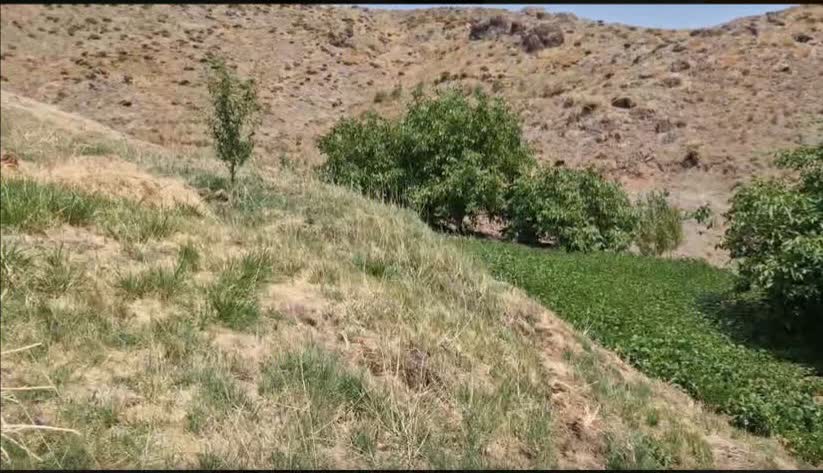 شناسایی ۸ فقره تخریب و تصرف اراضی ملی در الولک