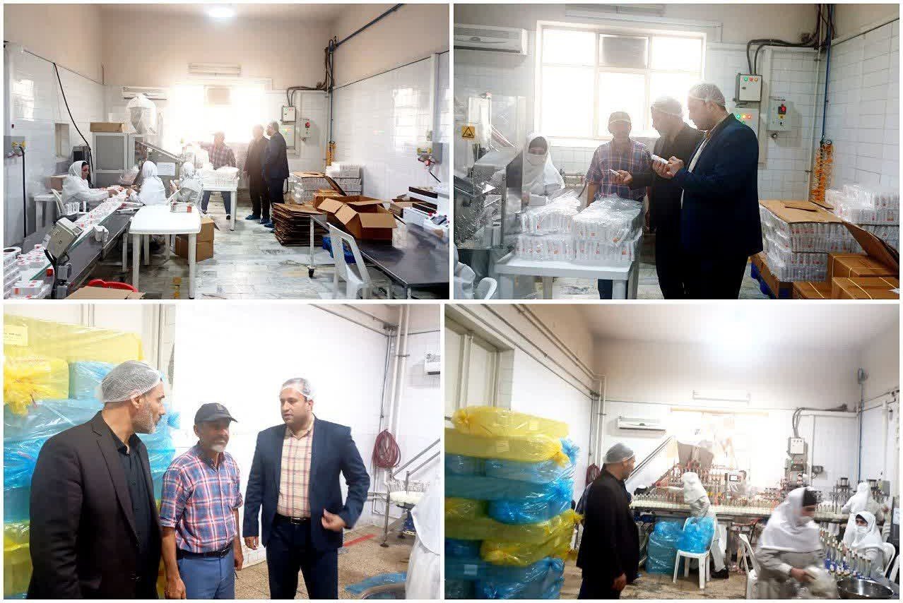 بازدید مسئولان کار و صمت البرز از شرکت آرا شیمی پارس برای بررسی مشکلات تولید و کارگری