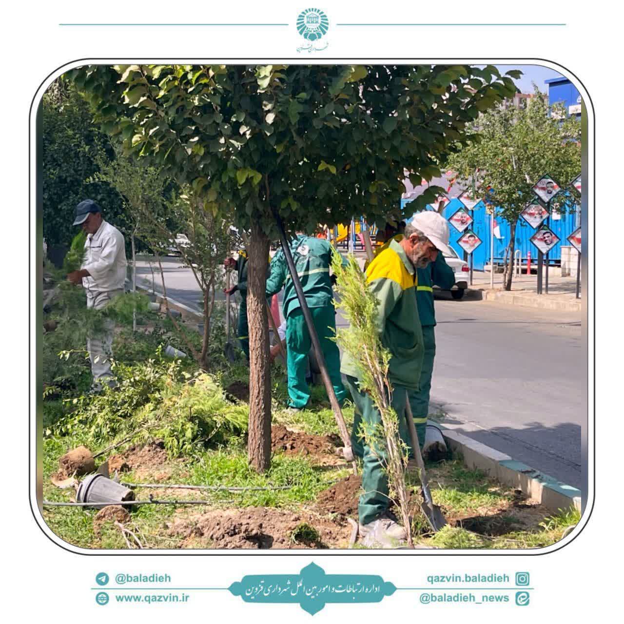 کاشت ۸ هزار نهال و گیاه زینتی در قزوین