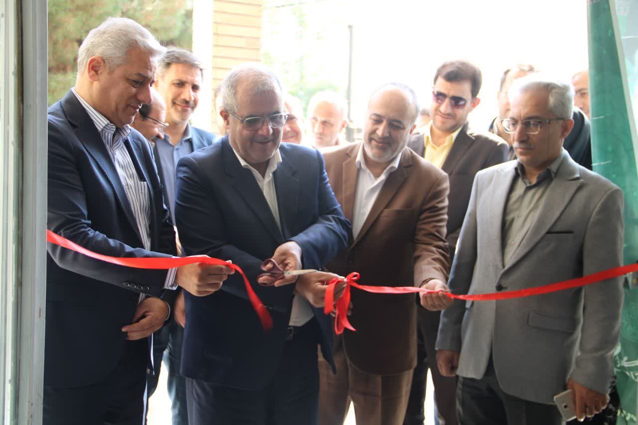 «هزار میدان، هزار بازار»؛ نمایش توانمندی زنان کارآفرین الوند