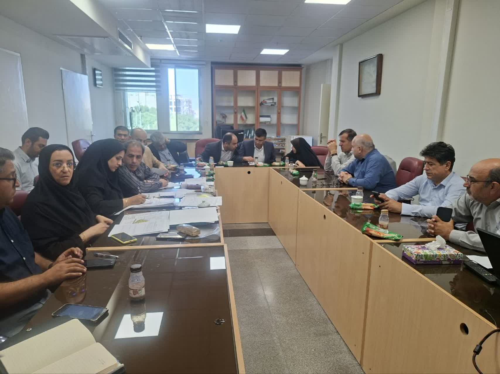 بررسی طرح‌های هادی روستایی در کمیته تصویب و بازنگری استان