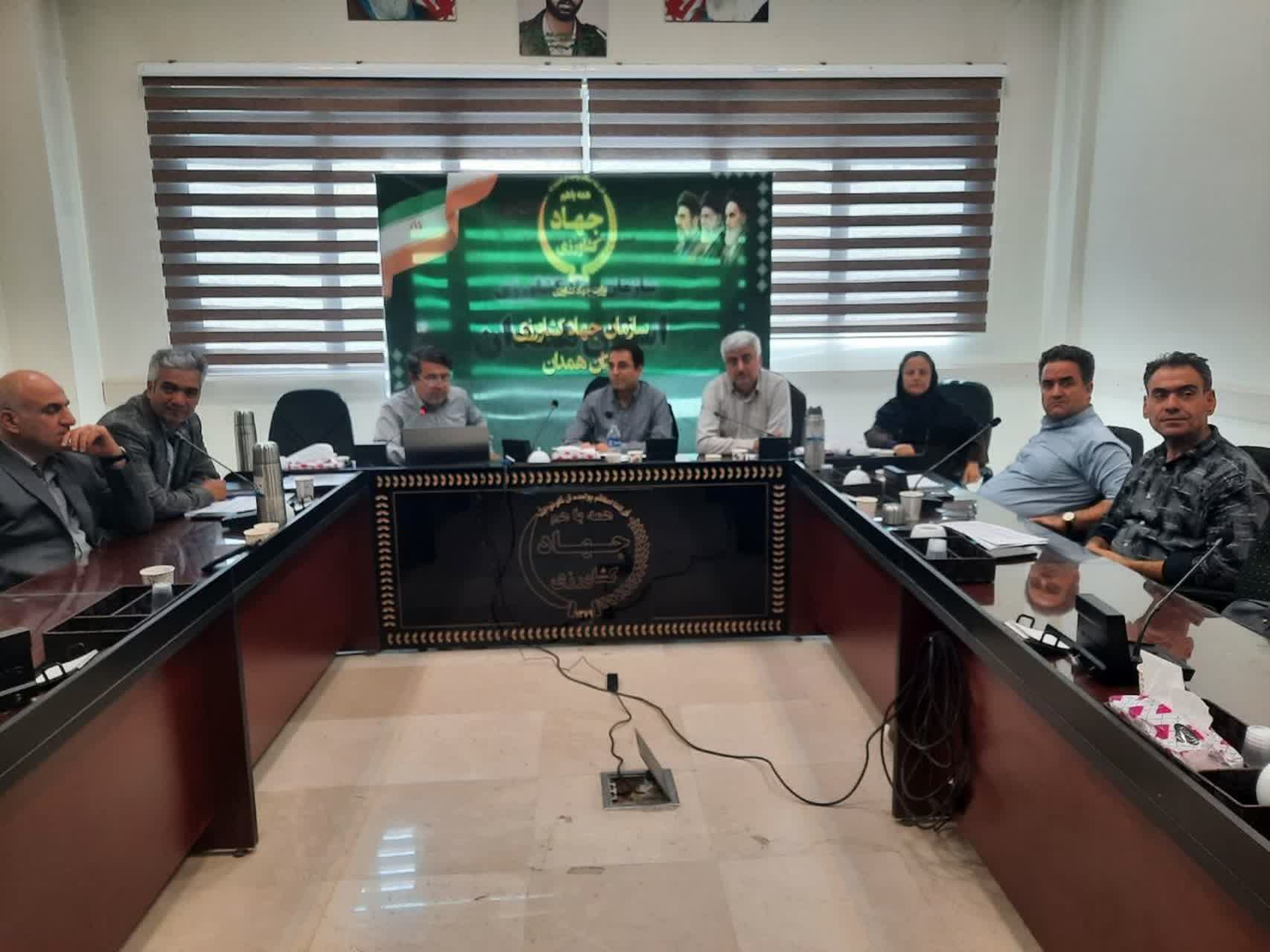 برنامه تولید ۹۵۰۰ تن بذر گندم و جو در قزوین