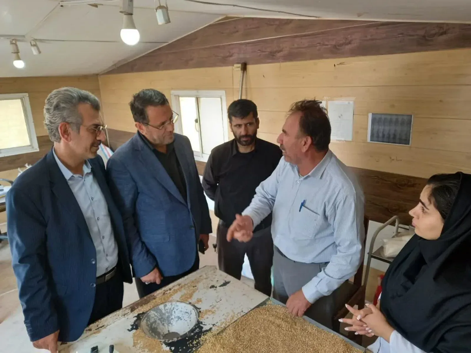 خرید تضمینی گندم در شهرستان قزوین به ۳۲.۵ هزار تن رسید