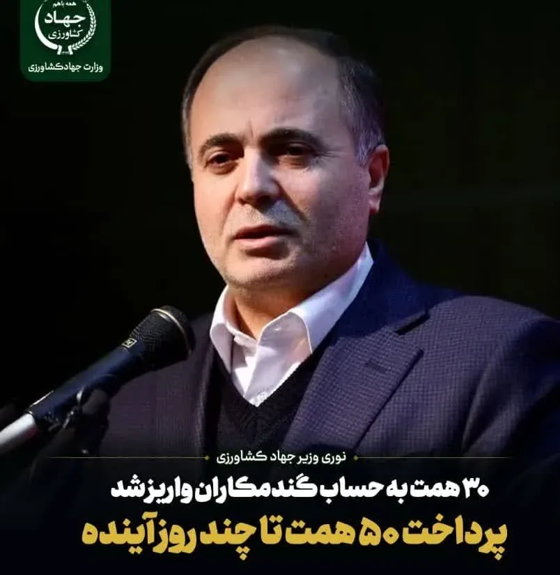 واریز ۳۰ همت دیگر از مطالبات گندمکاران؛ پرداخت ۵۰ همت باقی‌مانده در روزهای آینده