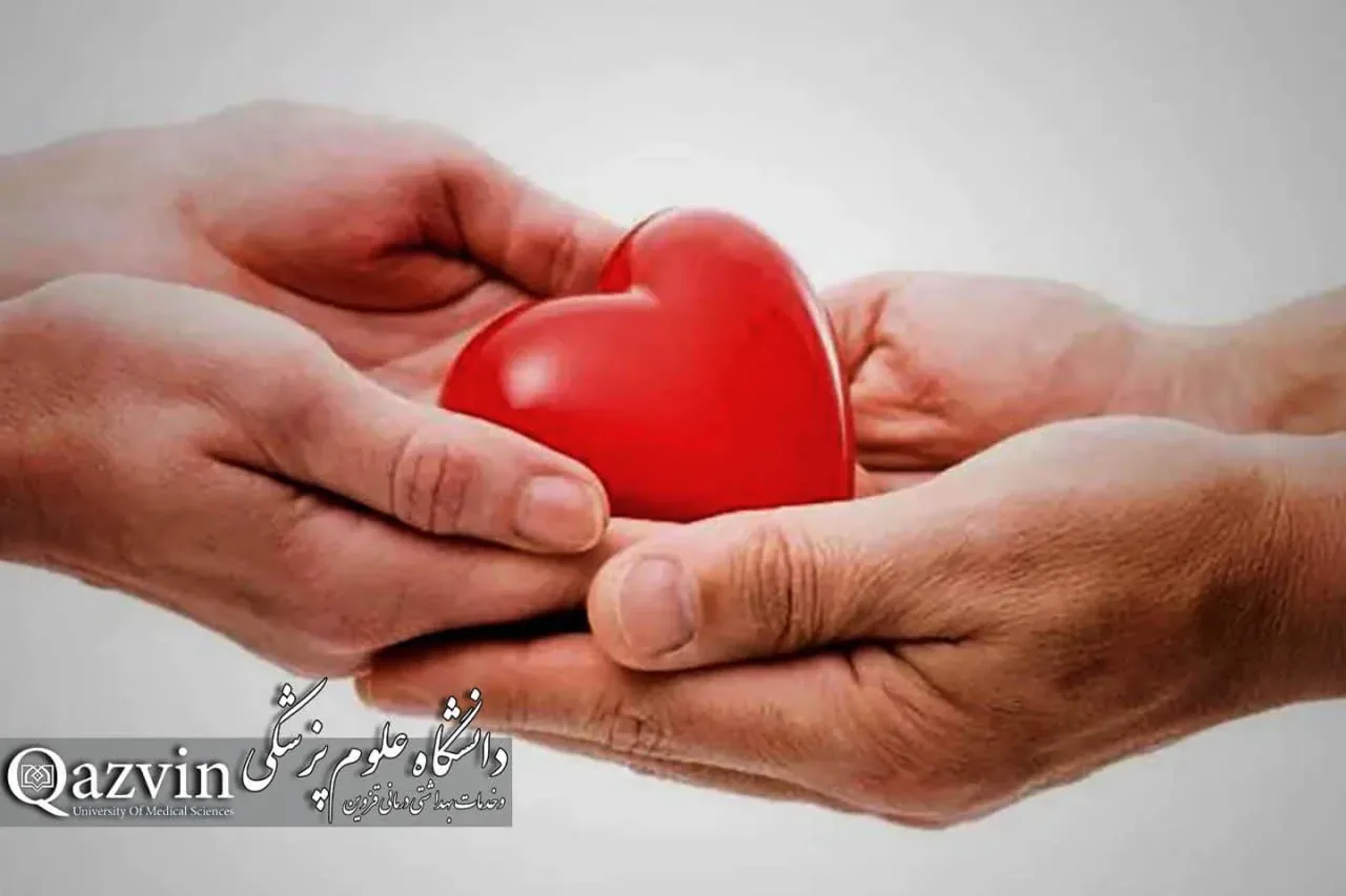دومین اهدای عضو قزوین در سال ۱۴۰۵؛ نجات جان چند بیمار با اهدای قلب، کبد و کلیه