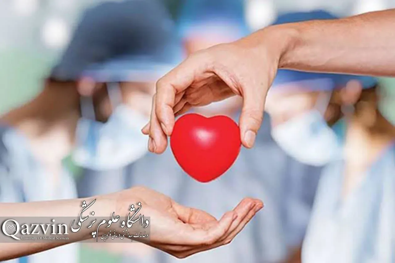 ایثار خانواده قزوینی؛ سومین اهدای عضو سال جاری در مسیر نجات بیماران نیازمند پیوند
