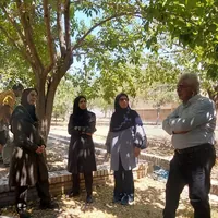 تدوین دستورالعمل حفاظت از درختان دولتخانه صفوی قزوین