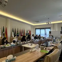 برگزاری دوره هوش مصنوعی برای مدیران شرکت رایکو در قزوین