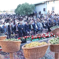 جشنواره گردو در ضیاآباد برگزار شد